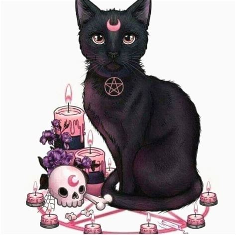 Witchy cat cartoon